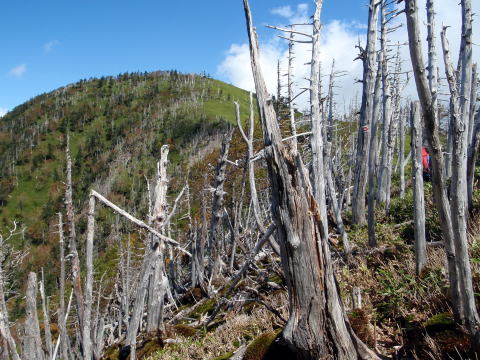 2014.9.20-21　柳沢川右俣（沢登り）