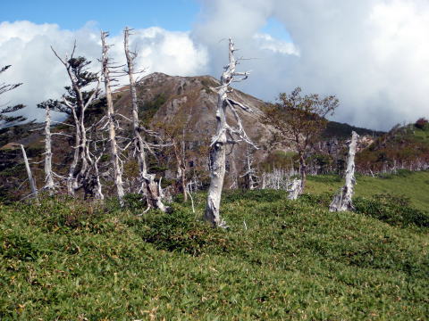 2014.9.20-21　柳沢川右俣（沢登り）