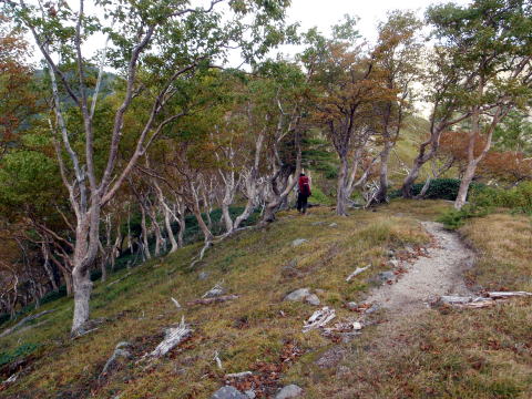 2014.9.20-21　柳沢川右俣（沢登り）