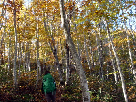 2014.10.18-19　茅刈り手伝い＆湯ノ倉山～大嵐山（尾根歩き・イベント）