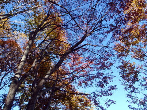 2014.10.18-19　茅刈り手伝い＆湯ノ倉山～大嵐山（尾根歩き・イベント）