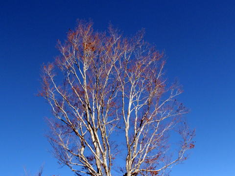 2014.10.18-19　茅刈り手伝い＆湯ノ倉山～大嵐山（尾根歩き・イベント）