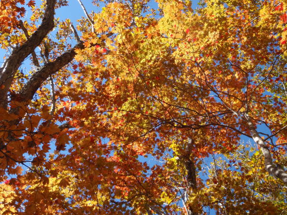 2014.10.18-19　茅刈り手伝い＆湯ノ倉山～大嵐山（尾根歩き・イベント）