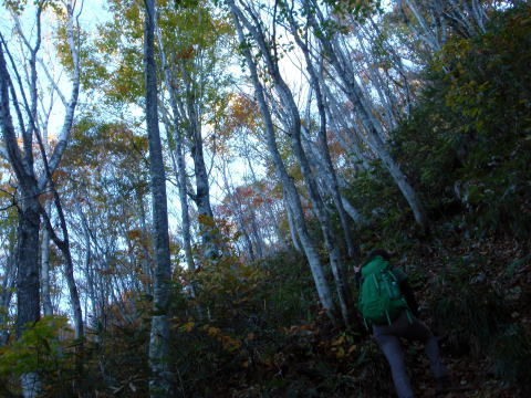 2014.10.18-19　茅刈り手伝い＆湯ノ倉山～大嵐山（尾根歩き・イベント）