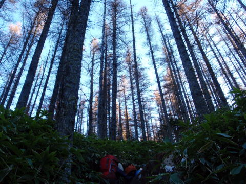 2014.10.25-26　蓼科山（尾根歩き）