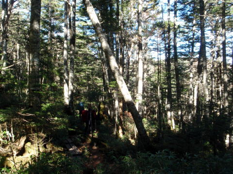 2014.10.25-26　蓼科山（尾根歩き）