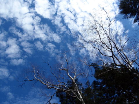 2014.10.25-26　蓼科山（尾根歩き）