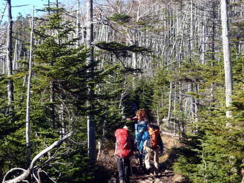 2014.10.25-26　蓼科山（尾根歩き）