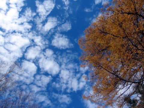 2014.10.25-26　蓼科山（尾根歩き）