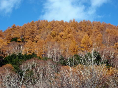 2014.10.25-26　蓼科山（尾根歩き）