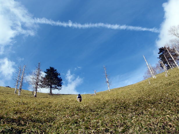 2014.11.8　東奥山窪・黒金山（尾根歩き）