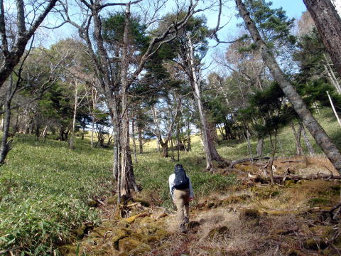 2014.11.8　東奥山窪・黒金山（尾根歩き）