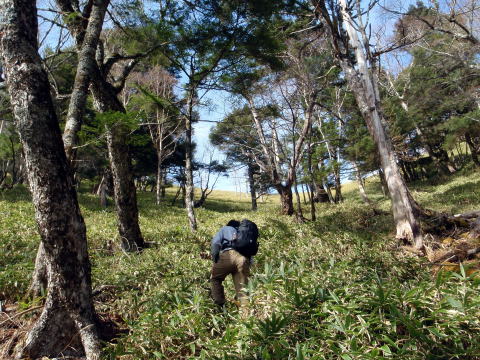 2014.11.8　東奥山窪・黒金山（尾根歩き）