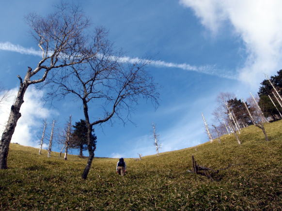 2014.11.8　東奥山窪・黒金山（尾根歩き）