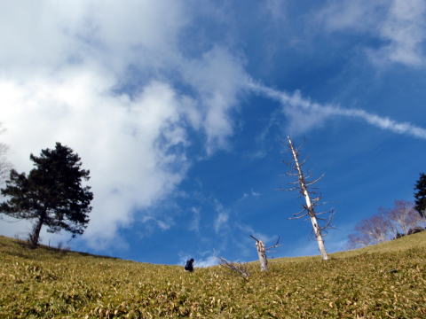 2014.11.8　東奥山窪・黒金山（尾根歩き）