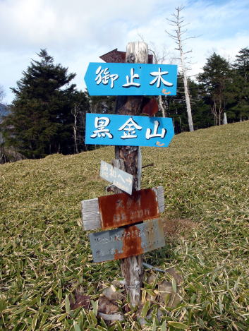 2014.11.8　東奥山窪・黒金山（尾根歩き）