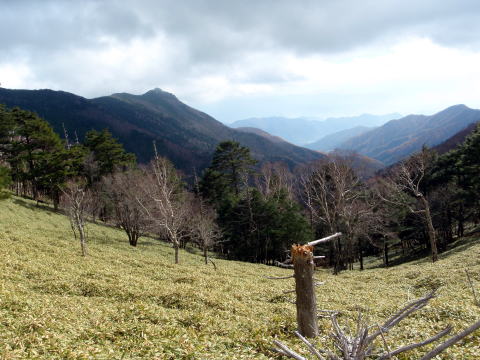2014.11.8　東奥山窪・黒金山（尾根歩き）