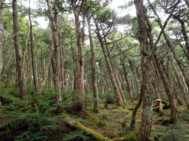 2014.11.8　東奥山窪・黒金山（尾根歩き）