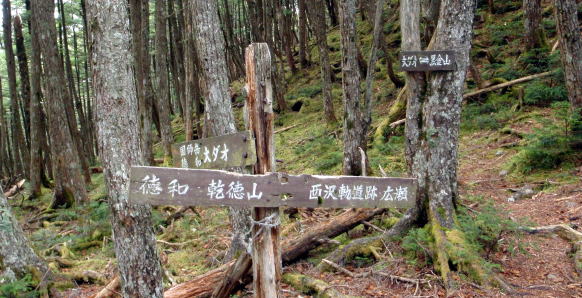 2014.11.8　東奥山窪・黒金山（尾根歩き）