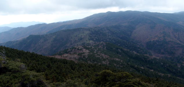 2014.11.8　東奥山窪・黒金山（尾根歩き）