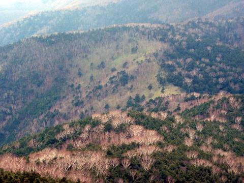 2014.11.8　東奥山窪・黒金山（尾根歩き）