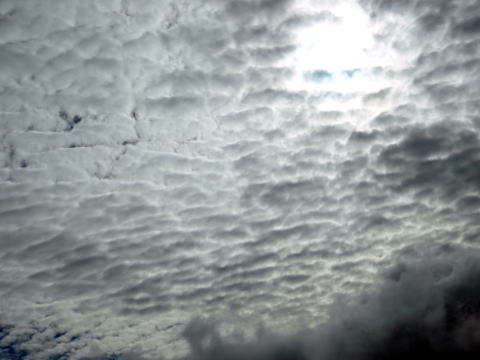 2014.11.8　東奥山窪・黒金山（尾根歩き）