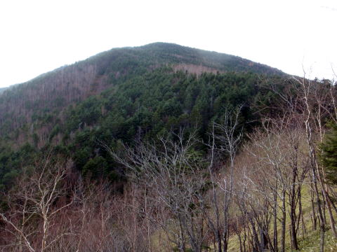 2014.11.8　東奥山窪・黒金山（尾根歩き）