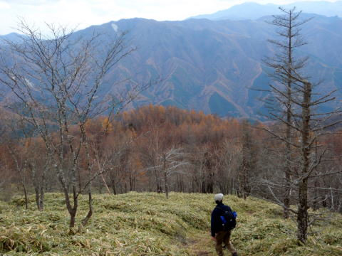 2014.11.8　東奥山窪・黒金山（尾根歩き）