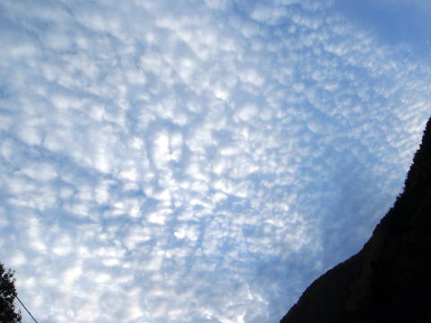 2014.11.8　東奥山窪・黒金山（尾根歩き）