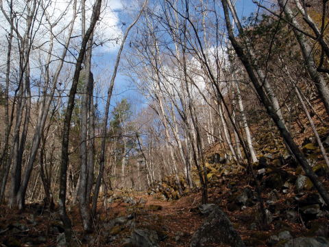 2014.11.8　東奥山窪・黒金山（尾根歩き）