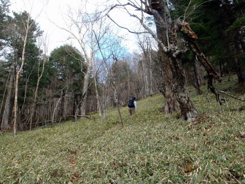 2014.11.8　東奥山窪・黒金山（尾根歩き）