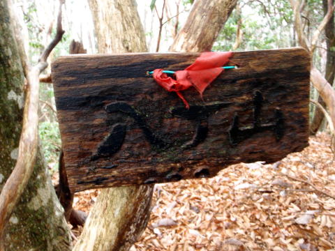 2014.11.29　鷹ノ巣山（尾根歩き）