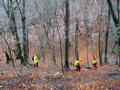 2014.11.29　鷹ノ巣山（尾根歩き）
