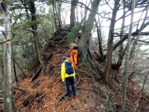 2014.11.29　鷹ノ巣山（尾根歩き）