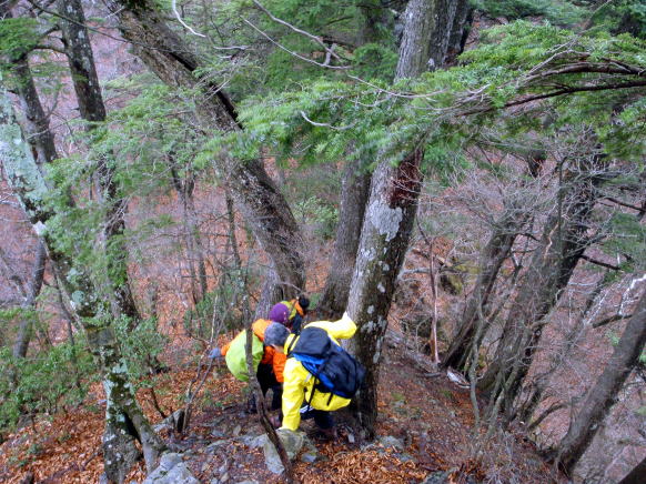 2014.11.29　鷹ノ巣山（尾根歩き）