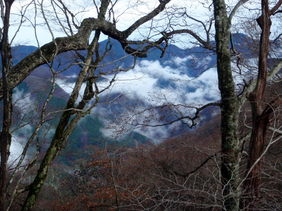 2014.11.29　鷹ノ巣山（尾根歩き）