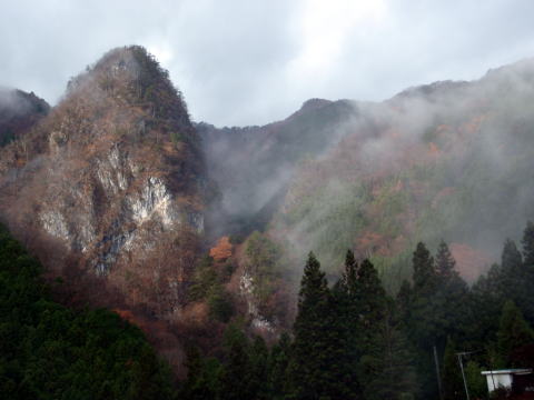 2014.11.29　鷹ノ巣山（尾根歩き）