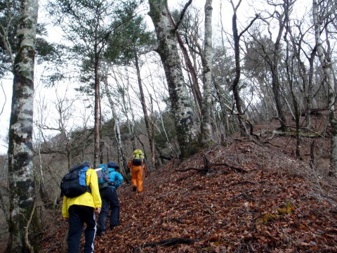 2014.11.29　鷹ノ巣山（尾根歩き）