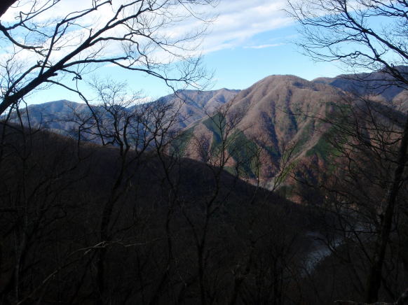 2014.11.29　鷹ノ巣山（尾根歩き）