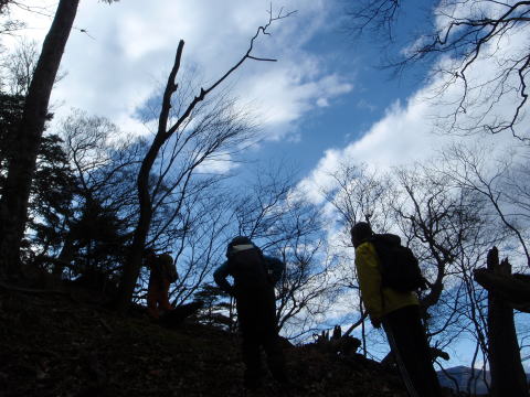 2014.11.29　鷹ノ巣山（尾根歩き）