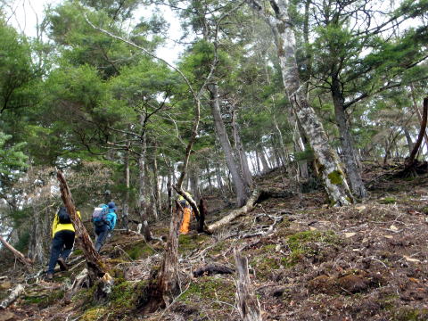 2014.11.29　鷹ノ巣山（尾根歩き）