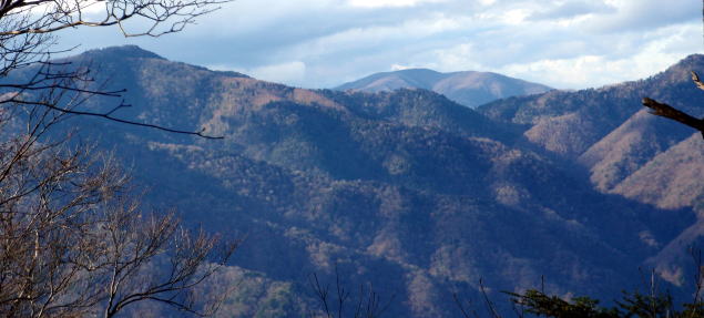 2014.11.29　鷹ノ巣山（尾根歩き）
