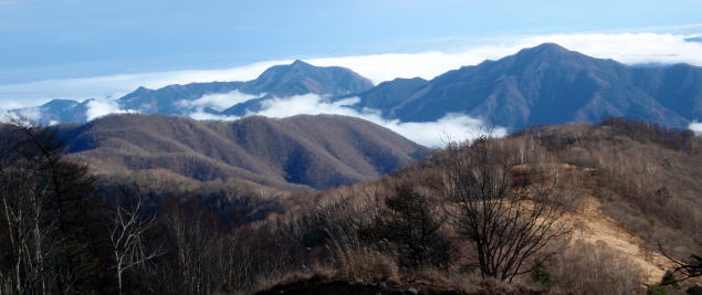 2014.11.29　鷹ノ巣山（尾根歩き）
