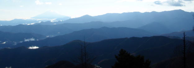 2014.11.29　鷹ノ巣山（尾根歩き）