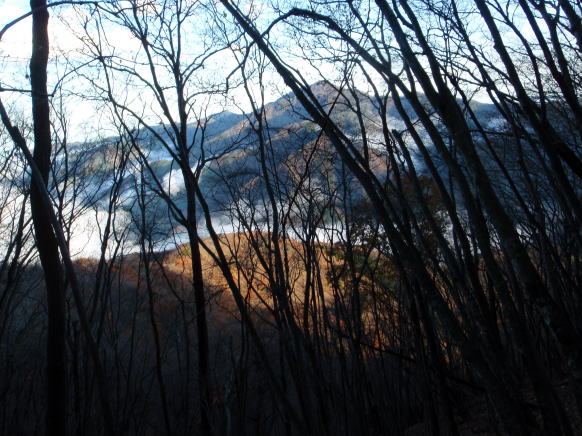 2014.11.29　鷹ノ巣山（尾根歩き）