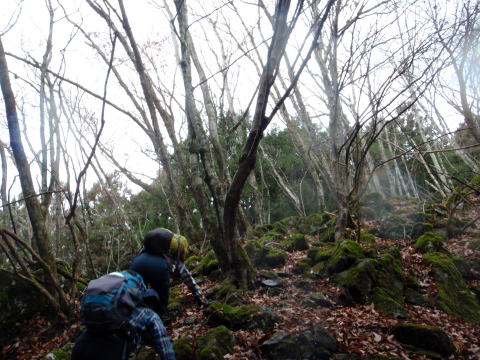 2014.11.29　鷹ノ巣山（尾根歩き）