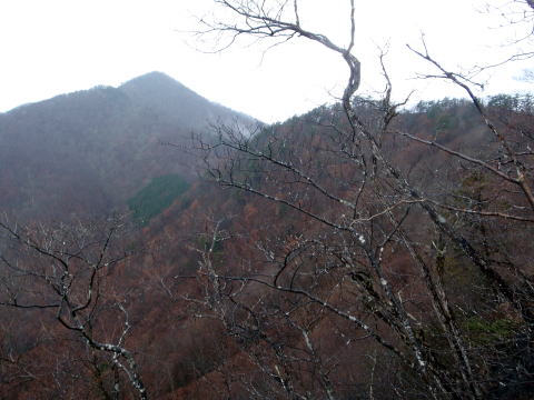2014.11.29　鷹ノ巣山（尾根歩き）
