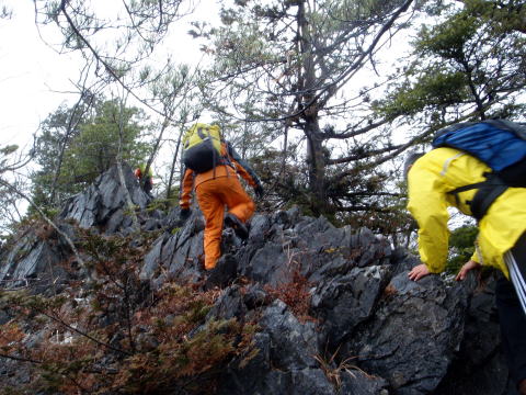2014.11.29　鷹ノ巣山（尾根歩き）