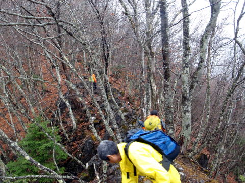 2014.11.29　鷹ノ巣山（尾根歩き）