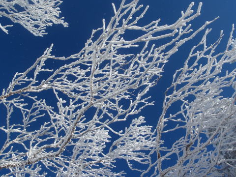 2014.12.20-21　八ヶ岳 天狗岳（雪山）